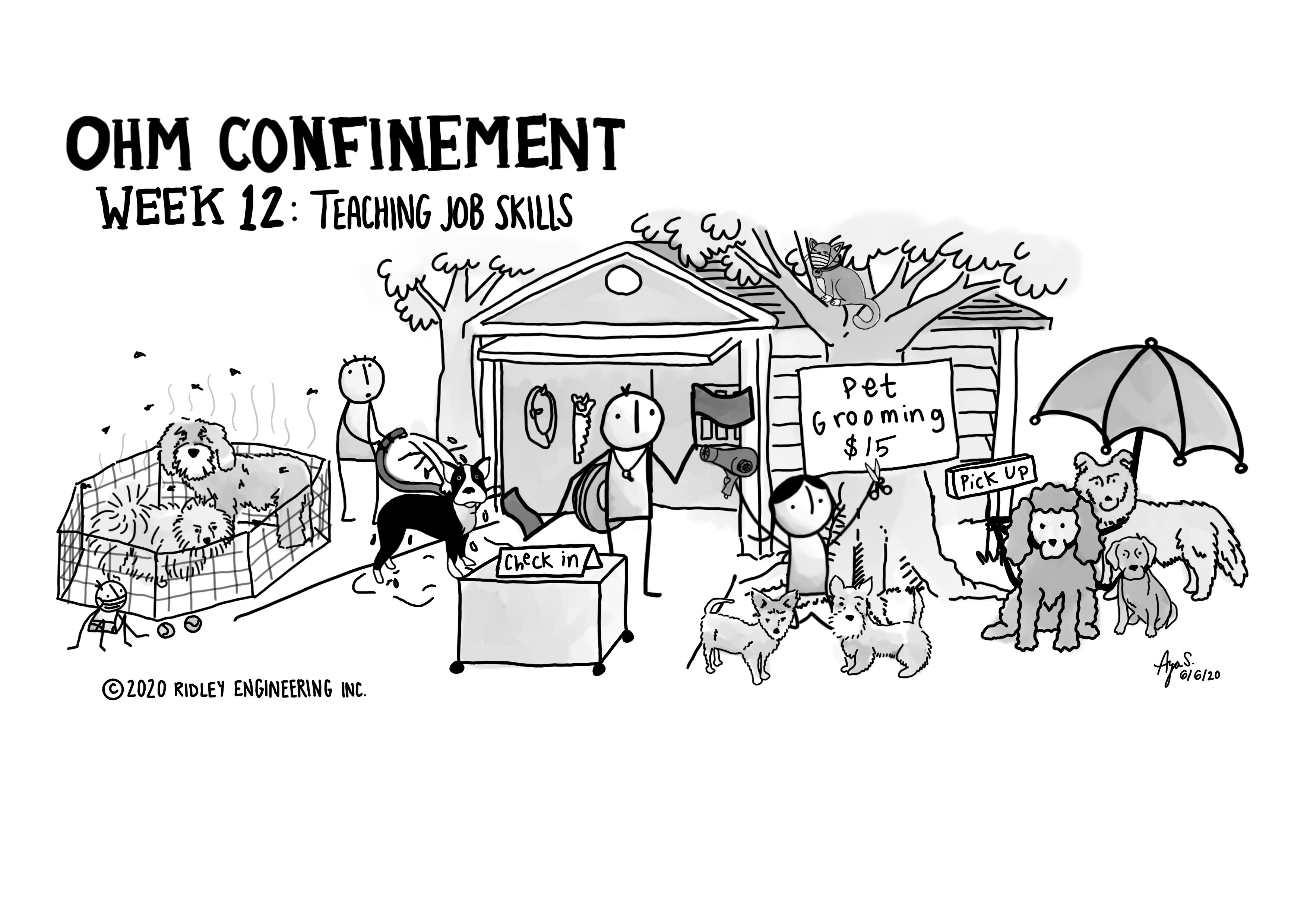 Ohm Confinement Week12